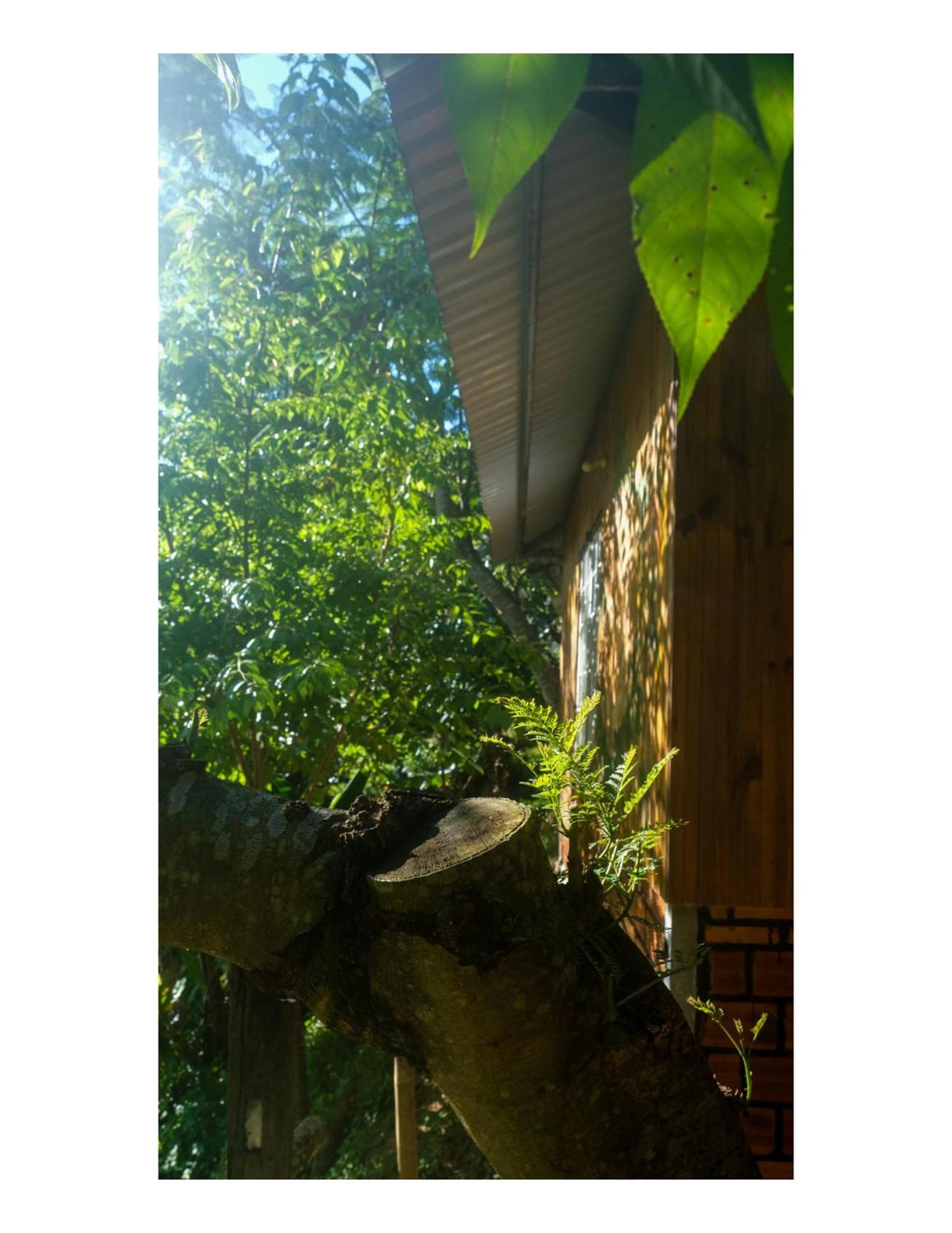 Nha Ben Ho - Da Lat Homestay Ngoại thất bức ảnh