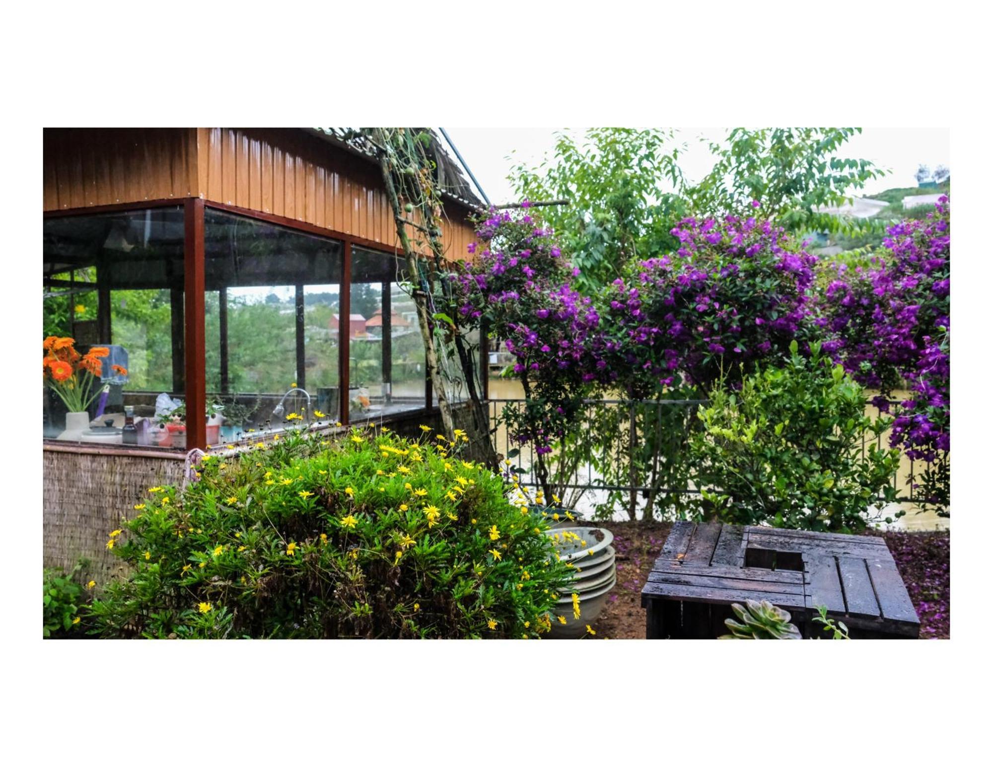 Nha Ben Ho - Da Lat Homestay Ngoại thất bức ảnh