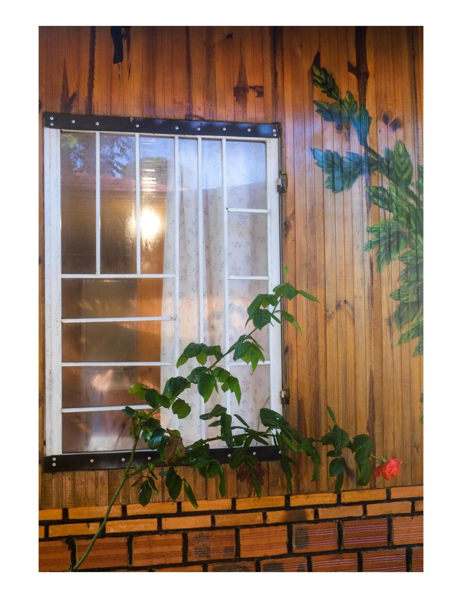 Nha Ben Ho - Da Lat Homestay Ngoại thất bức ảnh
