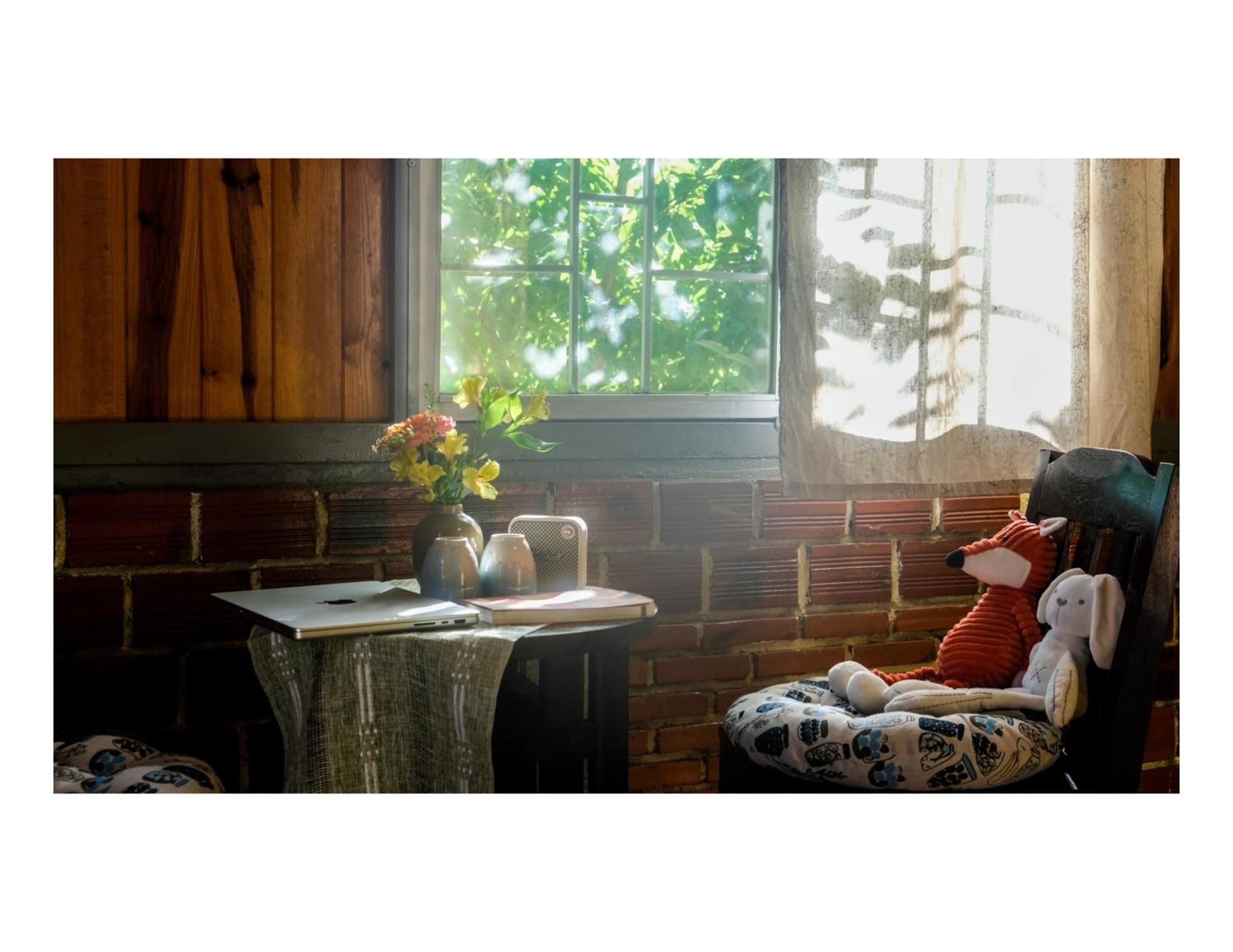 Nha Ben Ho - Da Lat Homestay Ngoại thất bức ảnh
