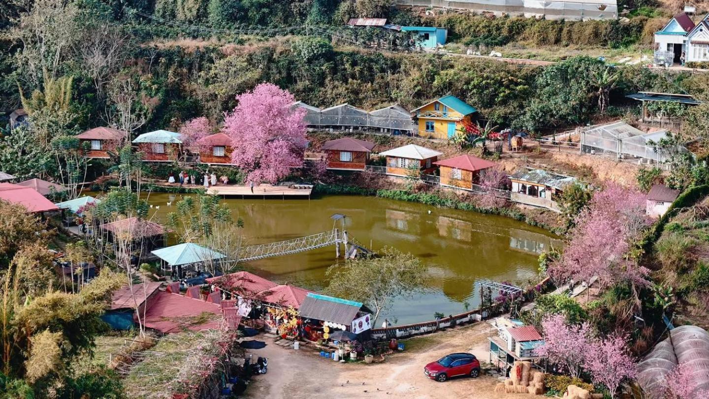 Nha Ben Ho - Da Lat Homestay Ngoại thất bức ảnh