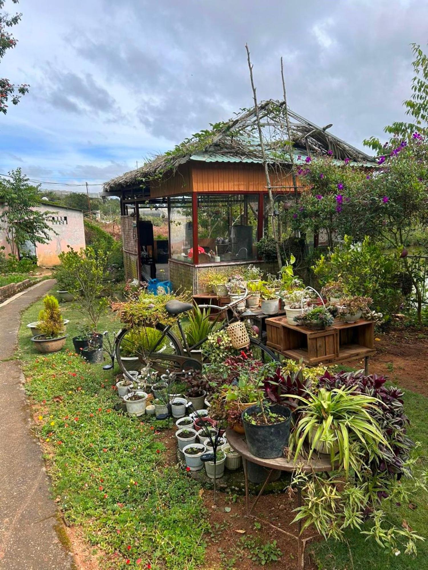 Nha Ben Ho - Da Lat Homestay Ngoại thất bức ảnh