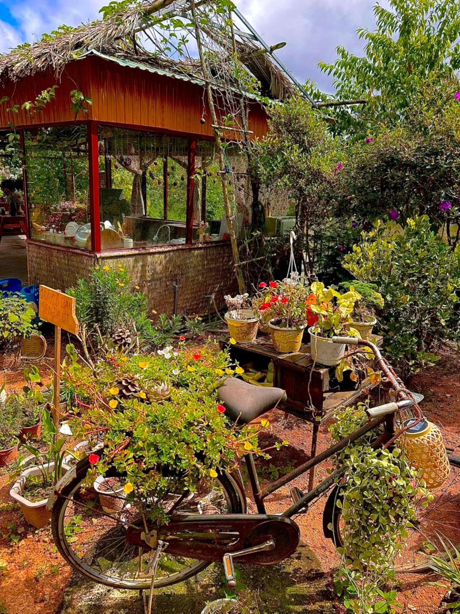 Nha Ben Ho - Da Lat Homestay Ngoại thất bức ảnh