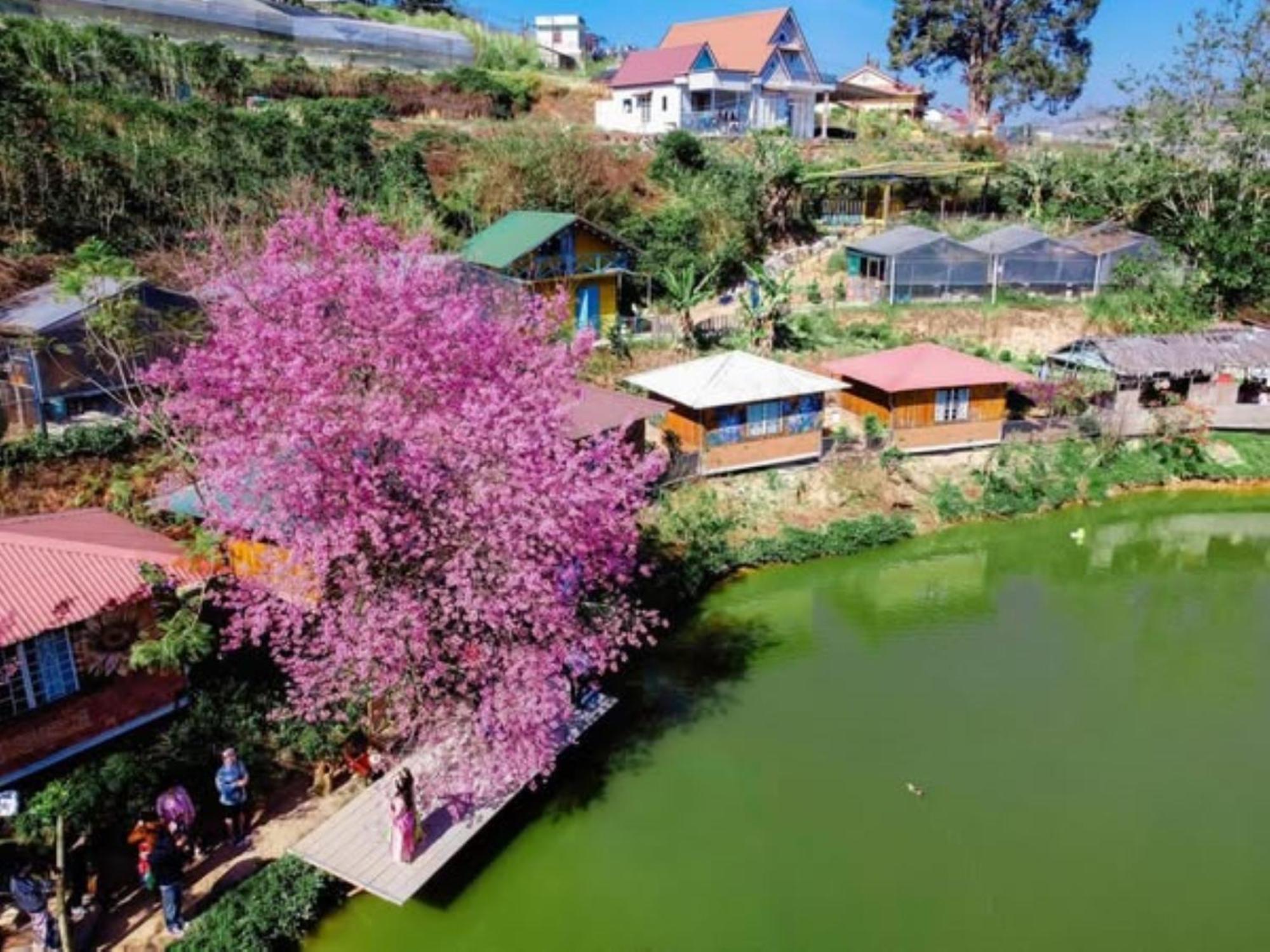 Nha Ben Ho - Da Lat Homestay Ngoại thất bức ảnh