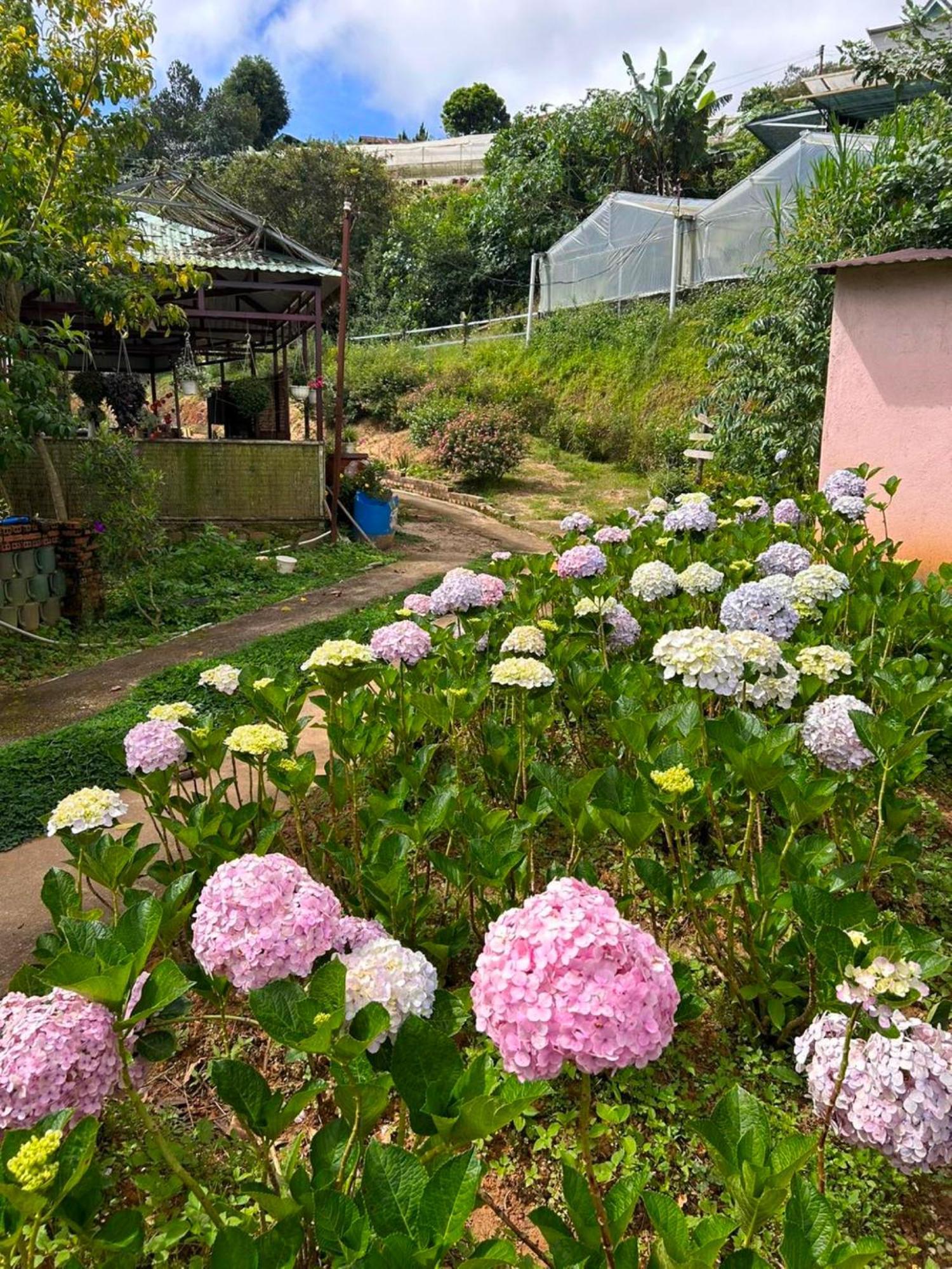 Nha Ben Ho - Da Lat Homestay Ngoại thất bức ảnh