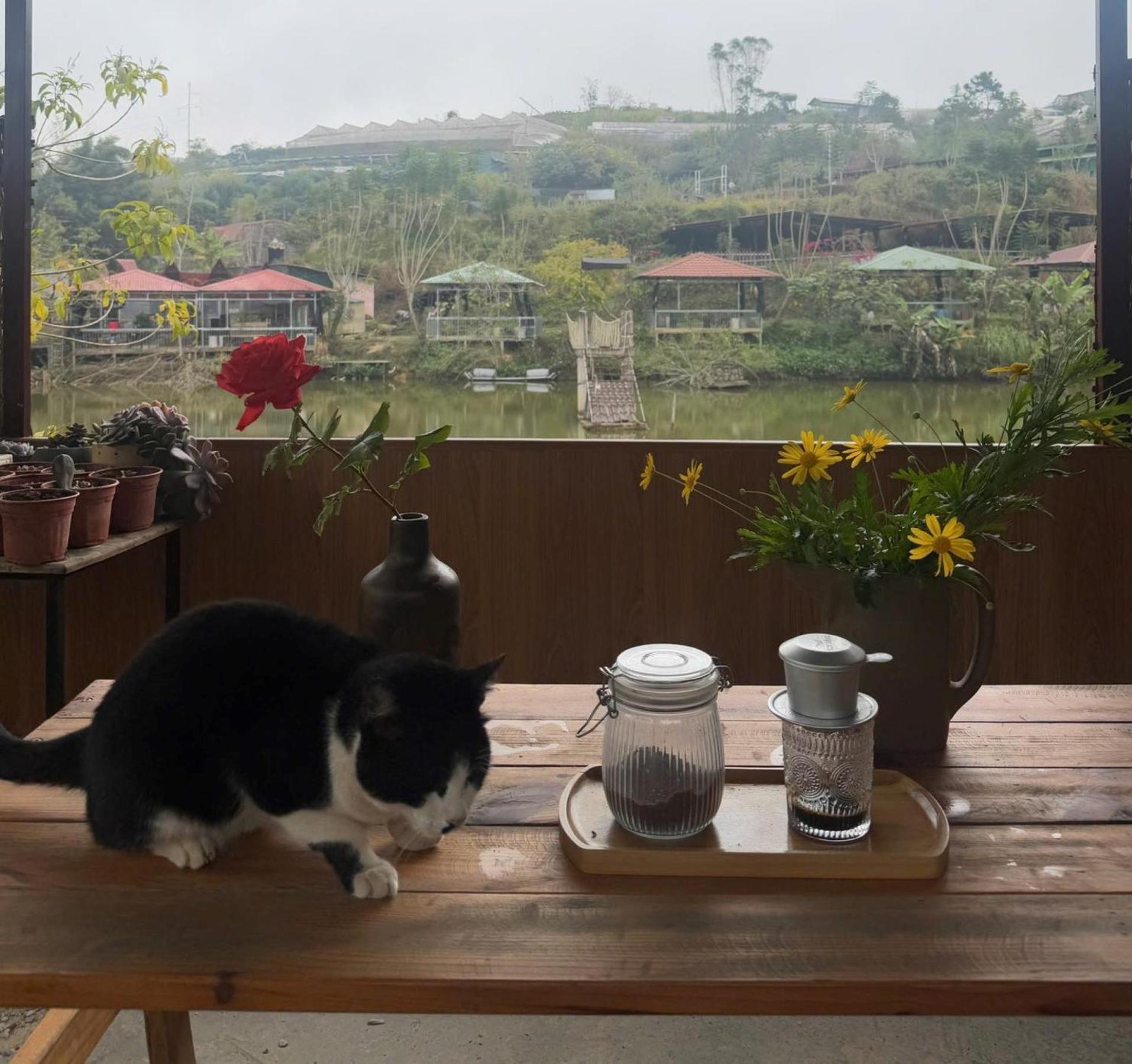 Nha Ben Ho - Da Lat Homestay Ngoại thất bức ảnh