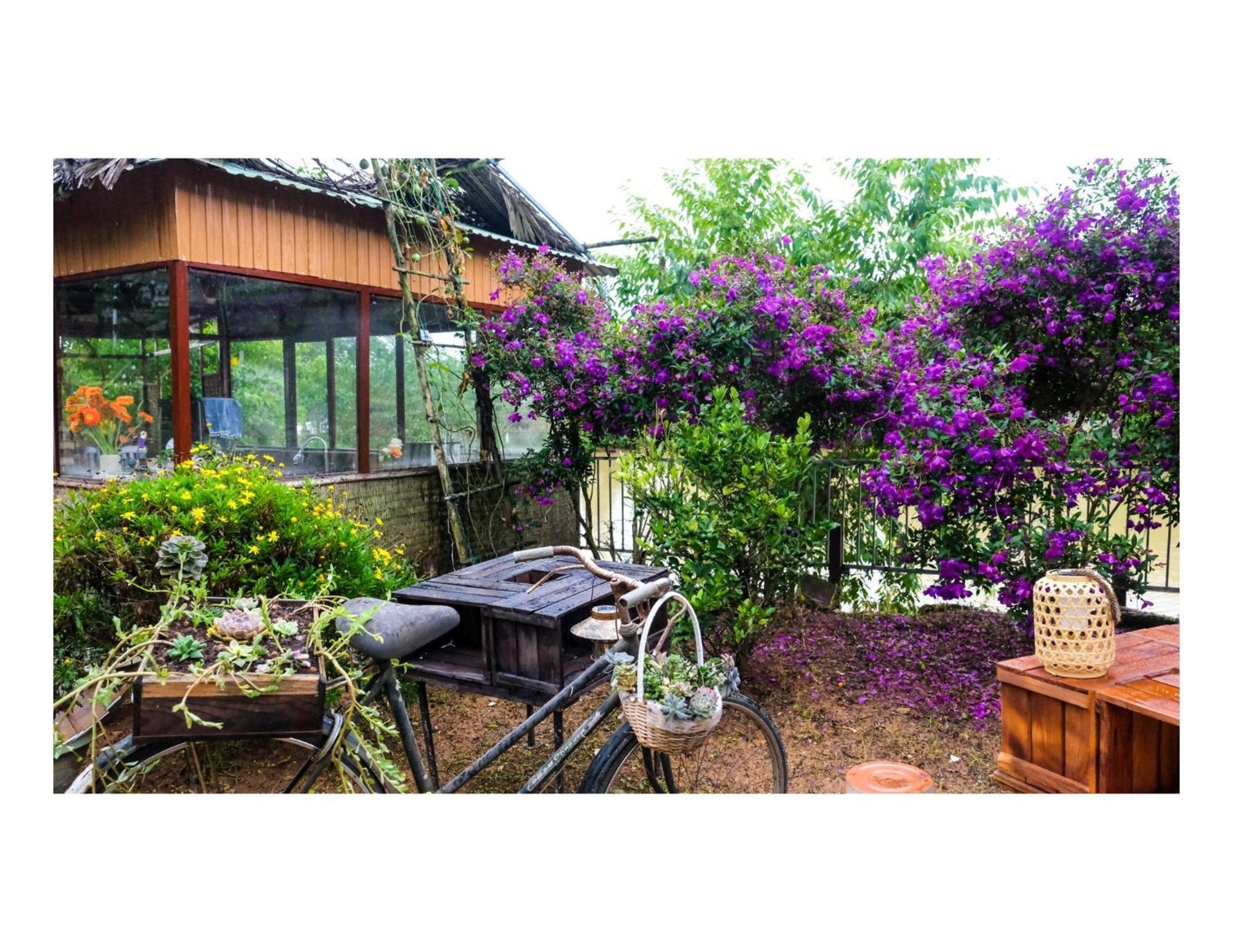 Nha Ben Ho - Da Lat Homestay Ngoại thất bức ảnh