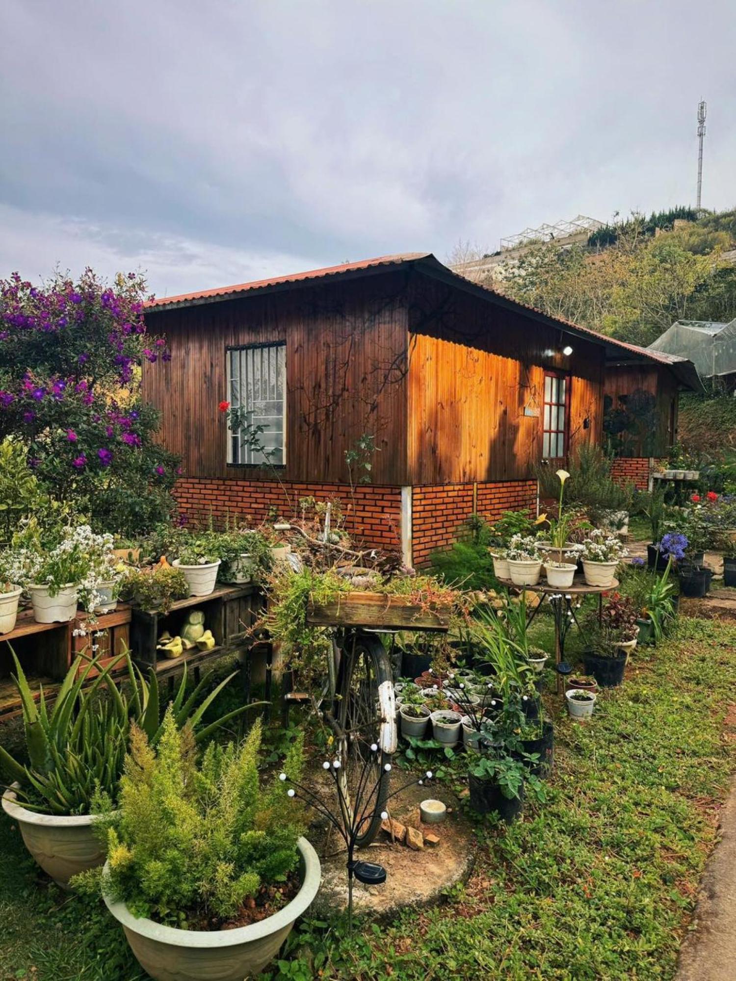 Nha Ben Ho - Da Lat Homestay Ngoại thất bức ảnh