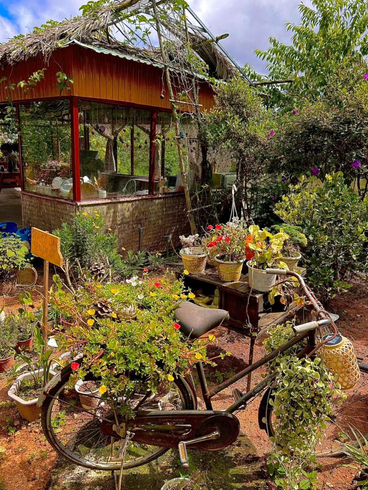 Nha Ben Ho - Da Lat Homestay Ngoại thất bức ảnh