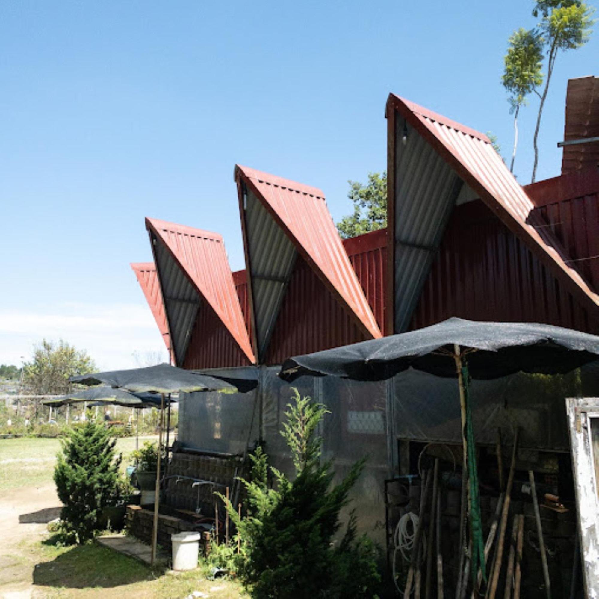 Nha Ben Ho - Da Lat Homestay Ngoại thất bức ảnh